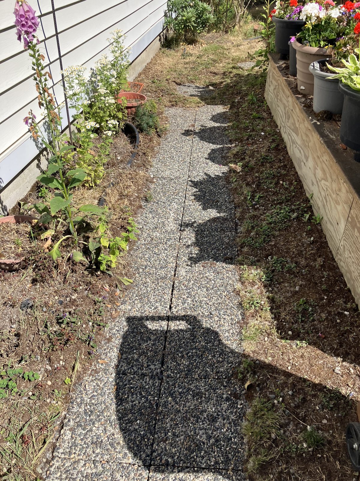 Same pathway after pressure washing — clean pavers